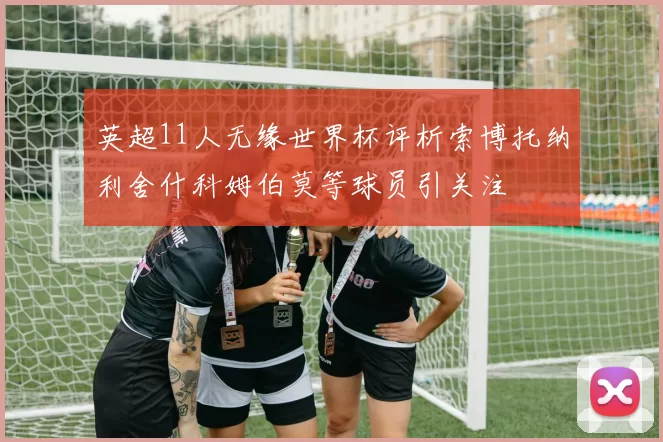 英超11人无缘世界杯评析索博托纳利舍什科姆伯莫等球员引关注